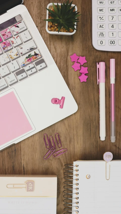 a laptop computer sitting on top of a wooden desk, a cartoon, inspired by Emma Ríos, trending on pexels, graffiti, matte pink armor, planner stickers, high angle close up shot, square sticker