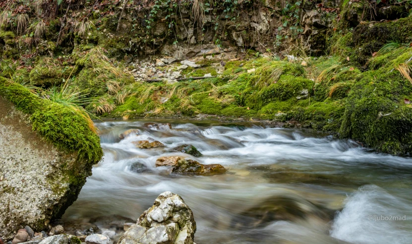 a stream running through a lush green forest, by Mirko Rački, pexels contest winner, hurufiyya, costa blanca, rapids, brown, thumbnail