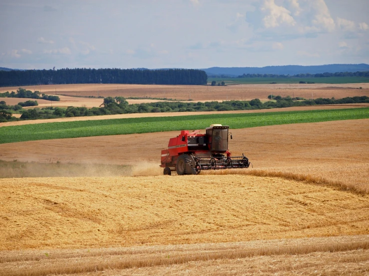 a combine harvester in the middle of a wheat field, pexels contest winner, precisionism, avatar image, no cropping, 1 9 7 0 s photo