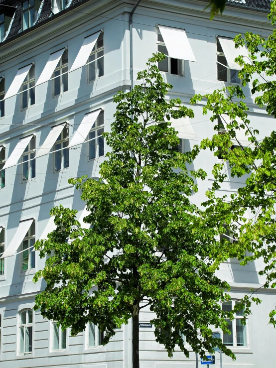 a tall building with a clock on top of it, inspired by Albert Paris Gütersloh, danube school, linden trees, awnings, white and pale blue, environmental shot