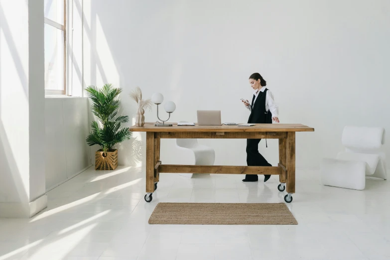 a woman sitting at a desk with a laptop, private press, minimalist furniture, standing in a restaurant, detailed wooden table, awwwards