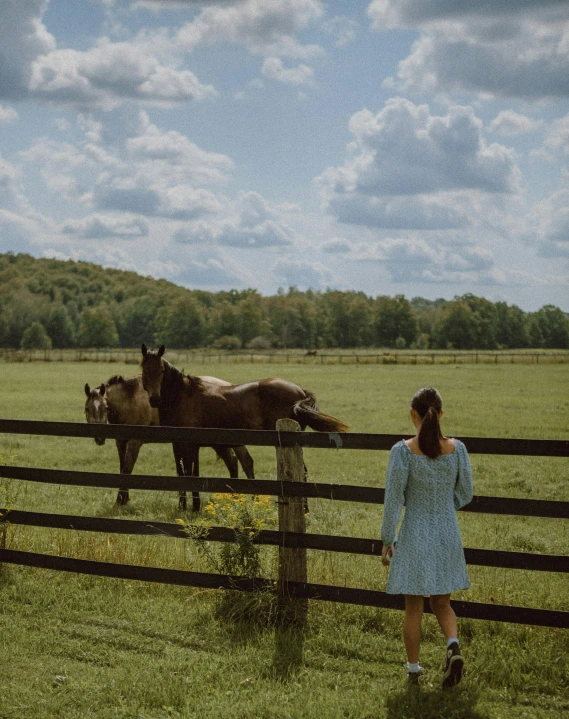 a woman standing in front of a fence looking at horses, pexels contest winner, lush countryside, blue, people watching around, old american midwest