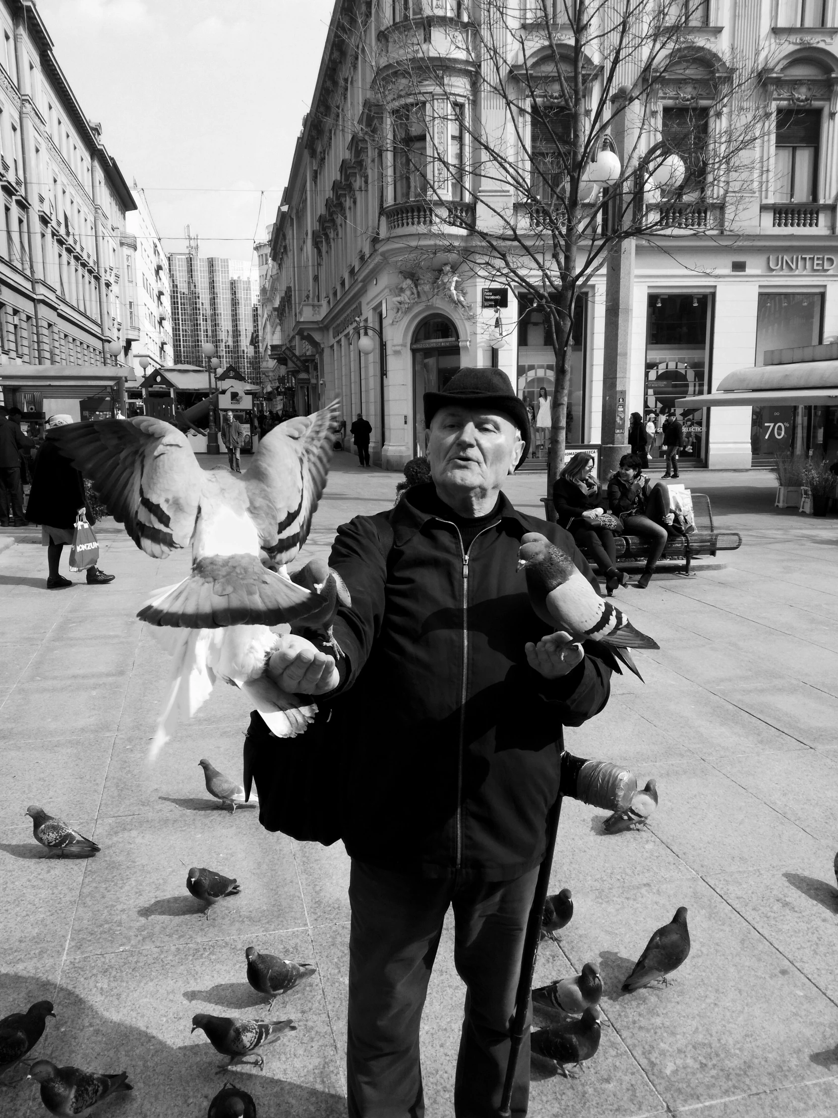 a black and white photo of a man surrounded by pigeons, by Kristian Kreković, an old man with 7 yellow birds, standing in a city center, holding a white duck, very very happy!