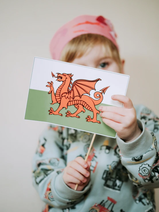 a little boy holding a flag with a dragon on it, a picture, by Helen Stevenson, pexels contest winner, arts and crafts movement, wales, 🚿🗝📝, trading card, product introduction photo