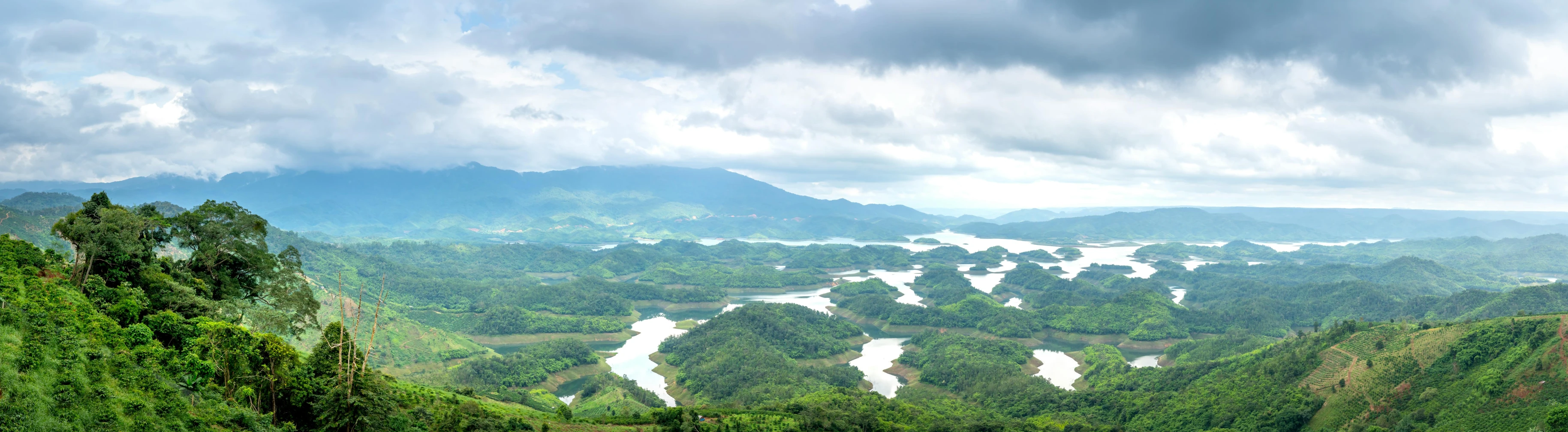 a group of cows standing on top of a lush green hillside, pexels contest winner, sumatraism, wide river and lake, bao phan, panoramic view of girl, floating lands in-clouds