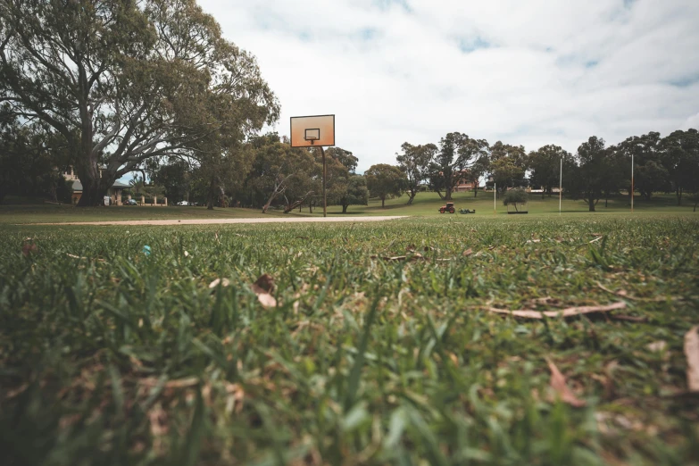 a basketball hoop sitting on top of a lush green field, straya, people resting on the grass, pov photo, grassy knoll