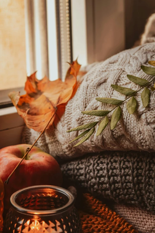 a pile of sweaters sitting on top of a table next to a candle, a still life, trending on pexels, wind blowing leaves, sitting on a window sill, cornucopia, detail shot