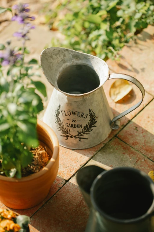 a pitcher sitting on top of a table next to a potted plant, garden setting, up close, hero shot, engraved