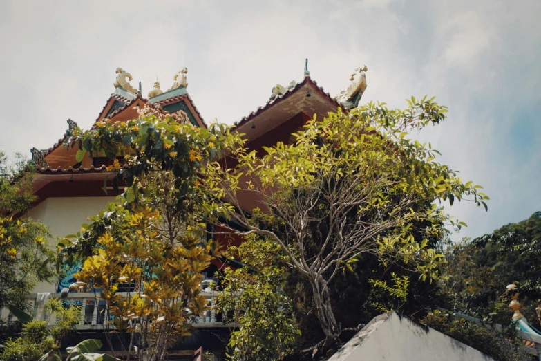 a bird sitting on top of a tree next to a building, temple, covered with vegetation, neighborhood, puṣkaracūḍa