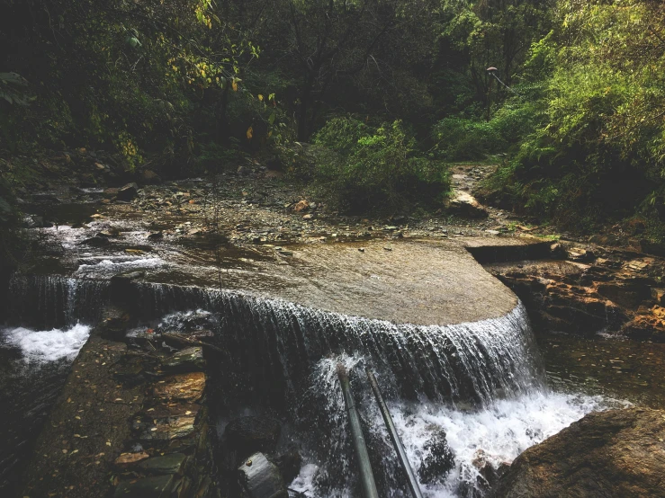 a stream running through a lush green forest, an album cover, unsplash, hurufiyya, pools of water, monsoon, drinking, sydney park