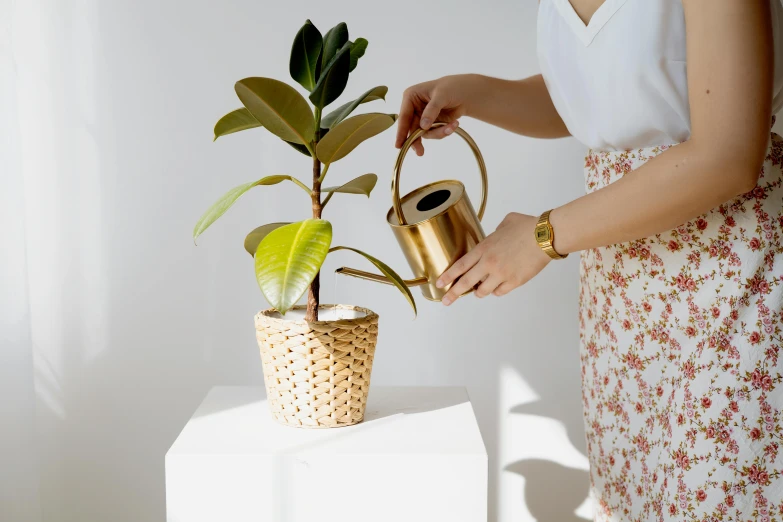 a woman holding a watering can next to a potted plant, inspired by Ceferí Olivé, trending on unsplash, minimalism, gold accessories, product introduction photo, magnolia, made of bamboo