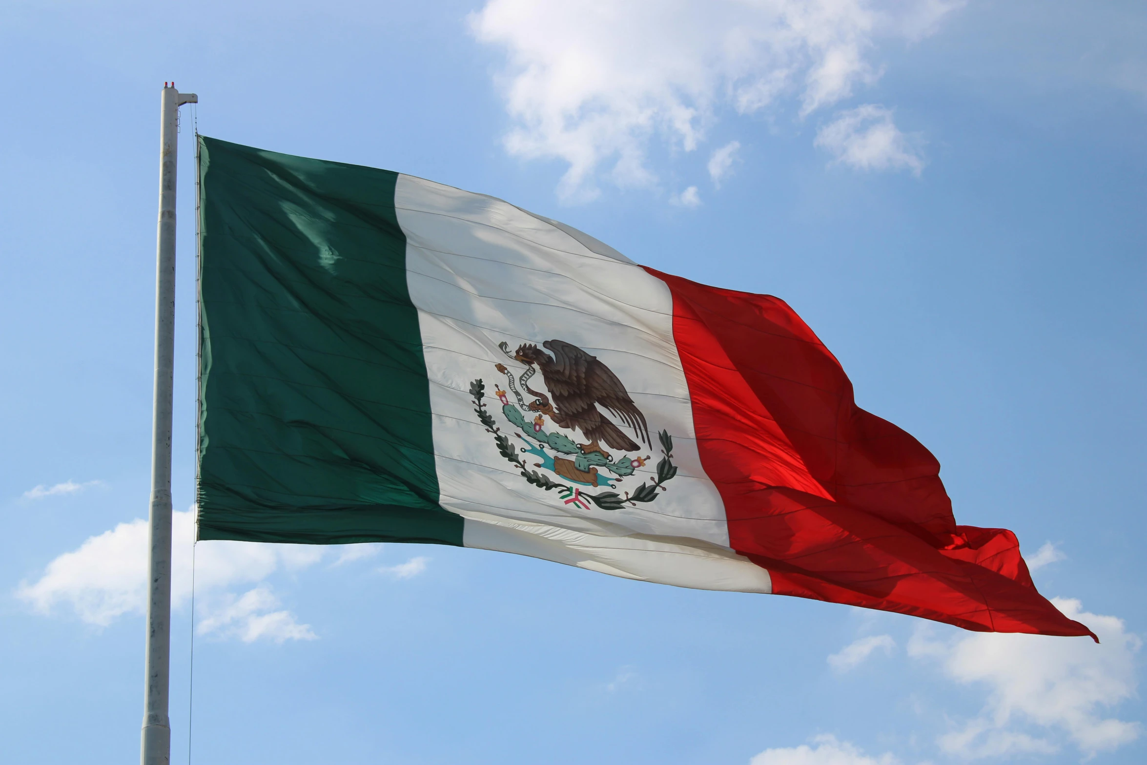 a mexican flag flying high in the sky, by Meredith Dillman, pexels contest winner, renaissance, square, an olive skinned, 🚿🗝📝, profile image