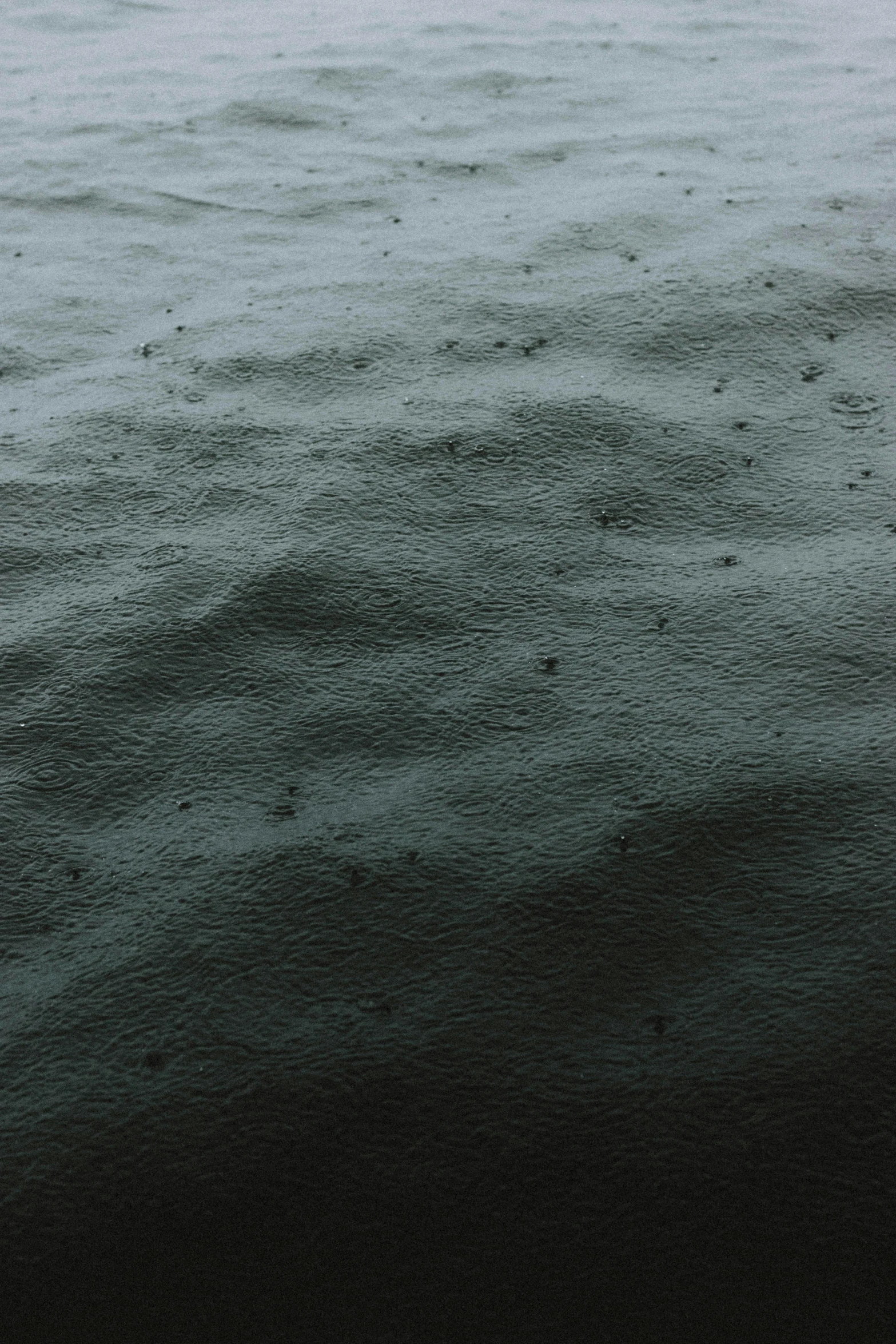 a black and white photo of a body of water, a microscopic photo, inspired by Vija Celmins, unsplash, conceptual art, dark green water, ground covered in maggots, soft blue texture, gloomy weather. hyperrealistic