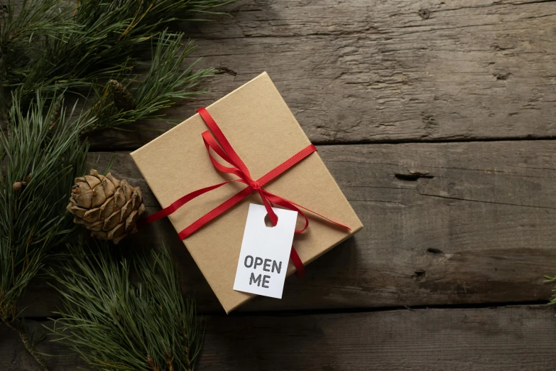 a christmas present sitting on top of a wooden table, by Eden Box, pexels contest winner, open, label, help me, organic ornament