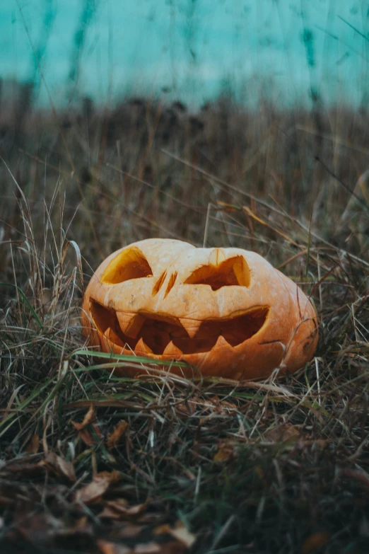 a pumpkin sitting in the middle of a field, profile image