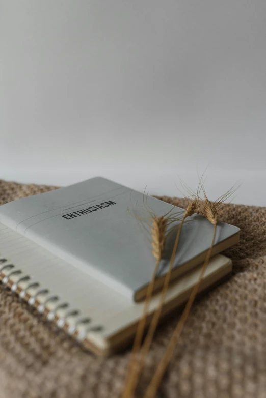 a notebook sitting on top of a piece of burlock, unsplash, photorealism, hay, silver，ivory, industries, introverted