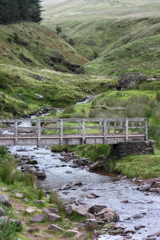 a wooden bridge over a stream in a lush green valley, by Bedwyr Williams, erosion channels river, slate, fishing, tan