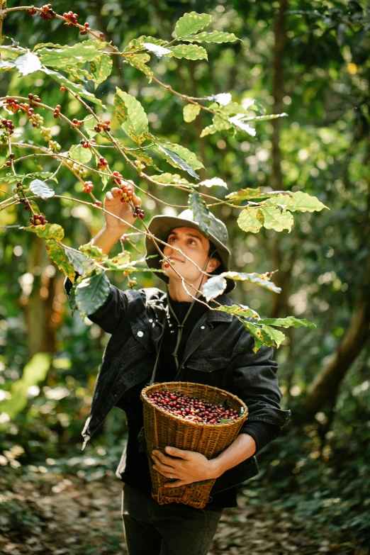 a man holding a basket full of berries, inspired by Ceferí Olivé, sumatraism, coffee, in a tree, profile image