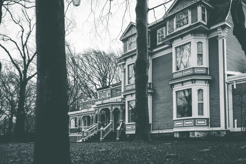 a black and white photo of a large house, by Carey Morris, pexels contest winner, art nouveau, majestic forest grove, 1 8 0 0 s vintage, white houses, unsplash contest winning photo