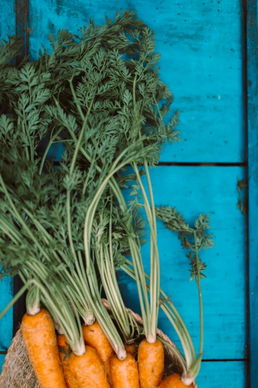 a bunch of carrots sitting on top of a wooden table, unsplash, cyan and green, woman made of plants, full frame image, herbs hanging