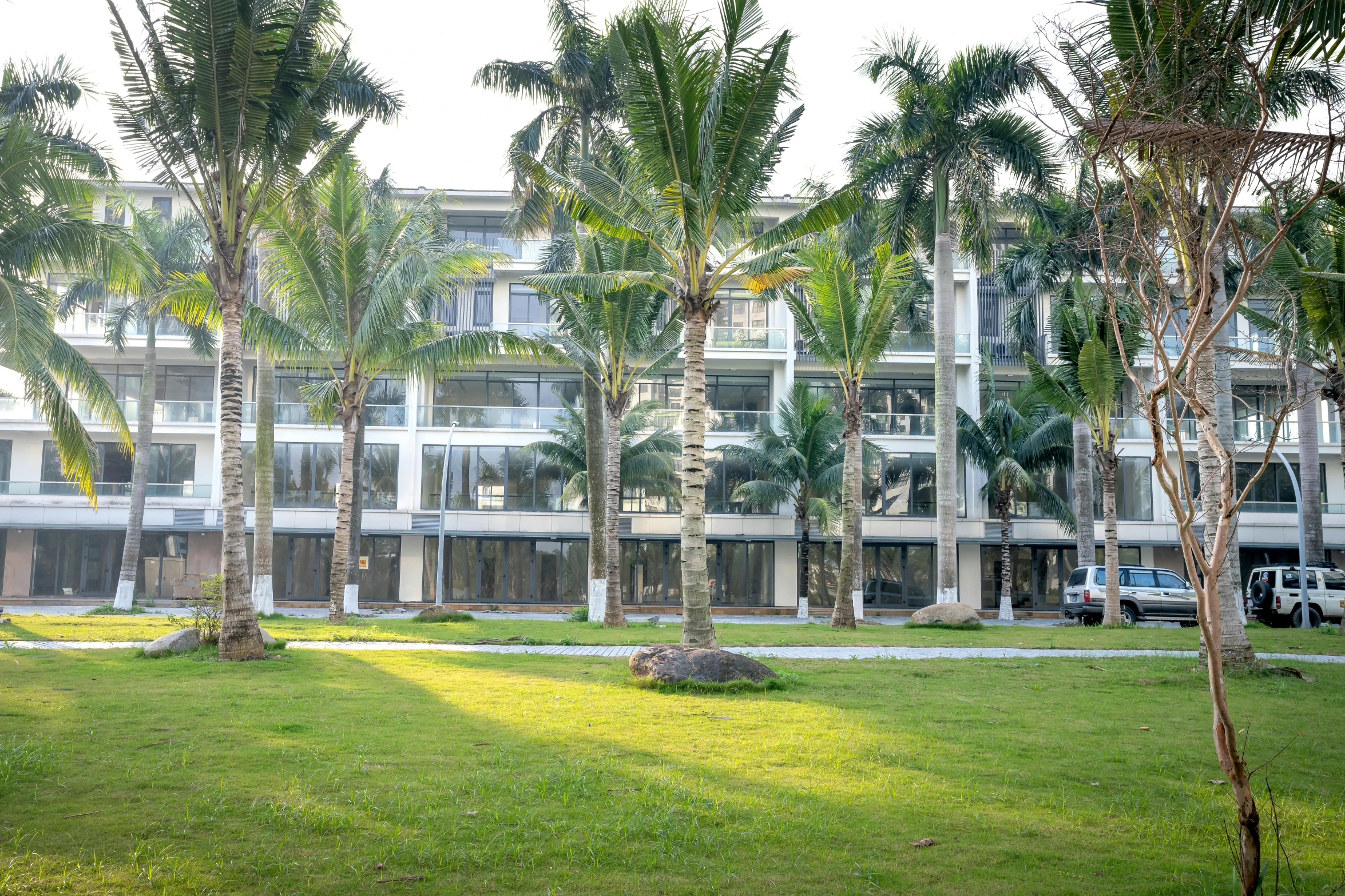 a building with palm trees in front of it, lawn, phuoc quan, profile image, beachfront