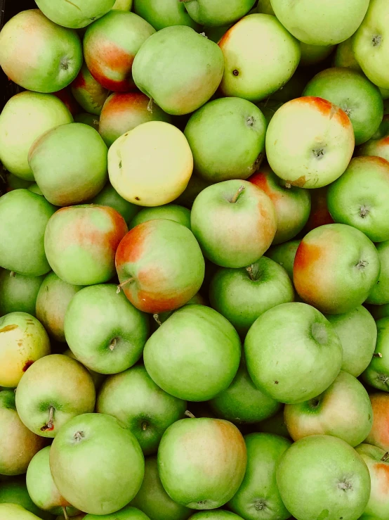 a pile of green apples sitting on top of each other, slide show, square, photograph