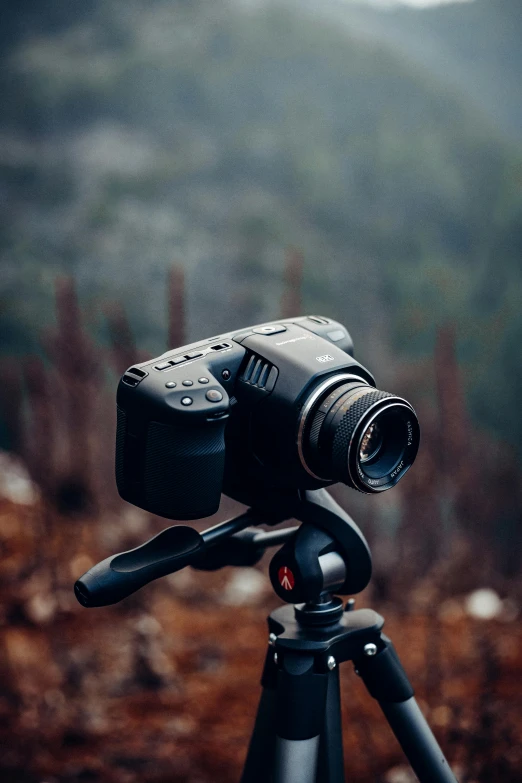 a camera sitting on top of a tripod, shot with hasselblade camera, in front of a forest background, panoramic widescreen view, cinematic shot ar 9:16 -n 6 -g