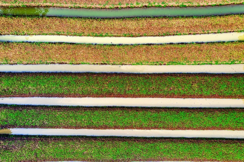 a bird's eye view of a river running through a lush green field, a digital rendering, by Jan Rustem, pexels, color field, rows of lush crops, stairways, brown, vertical lines