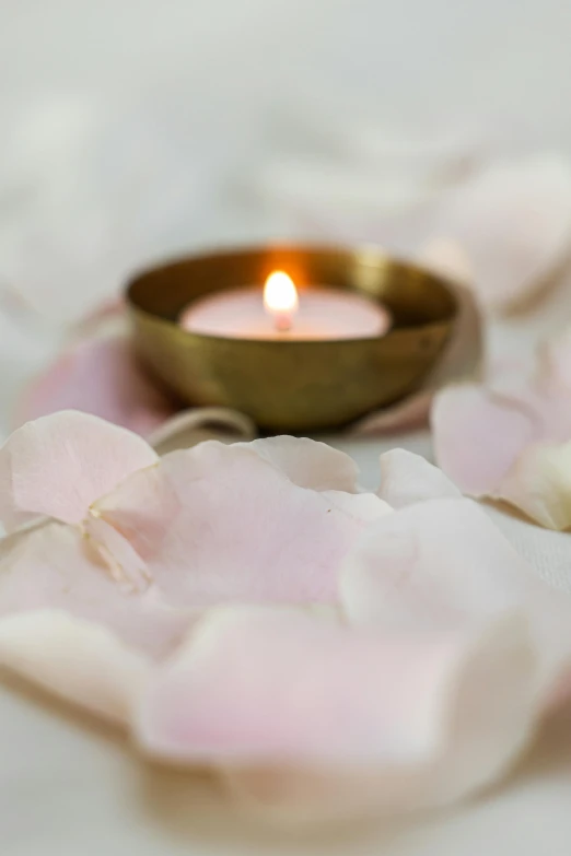 a close up of a candle with petals around it, blush, opal petals, serene, gold silk