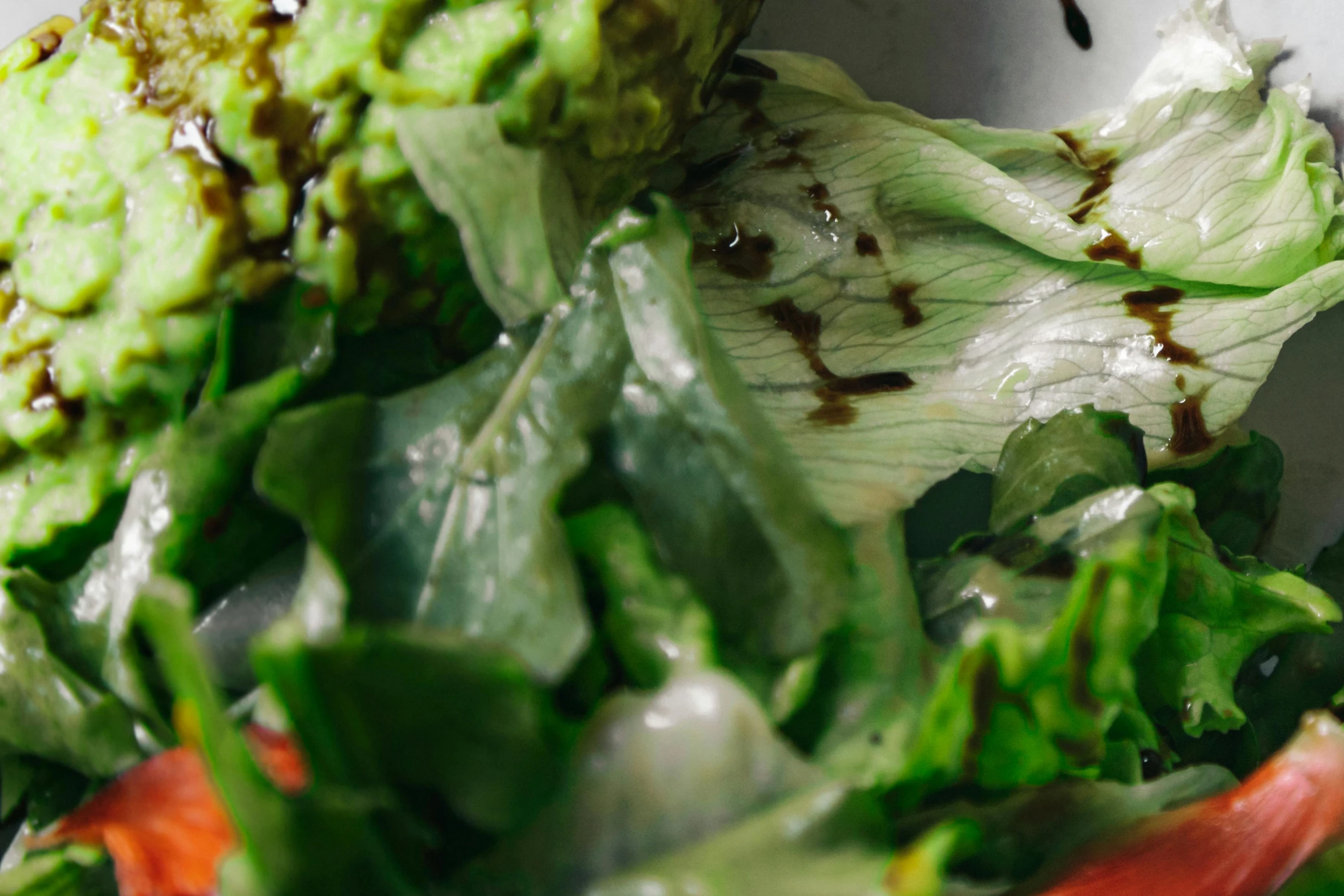 a close up of a salad with lettuce and tomatoes, unsplash, process art, burnt, broccoli, in oil”, promo image