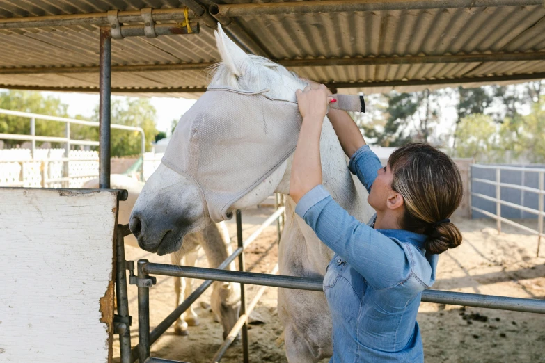 a woman standing next to a white horse, frosting on head and shoulders, local conspirologist, profile image, grey