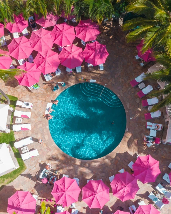 a pool filled with lots of pink umbrellas next to palm trees, a portrait, looking down from above, neon jacuzzi, in the sun