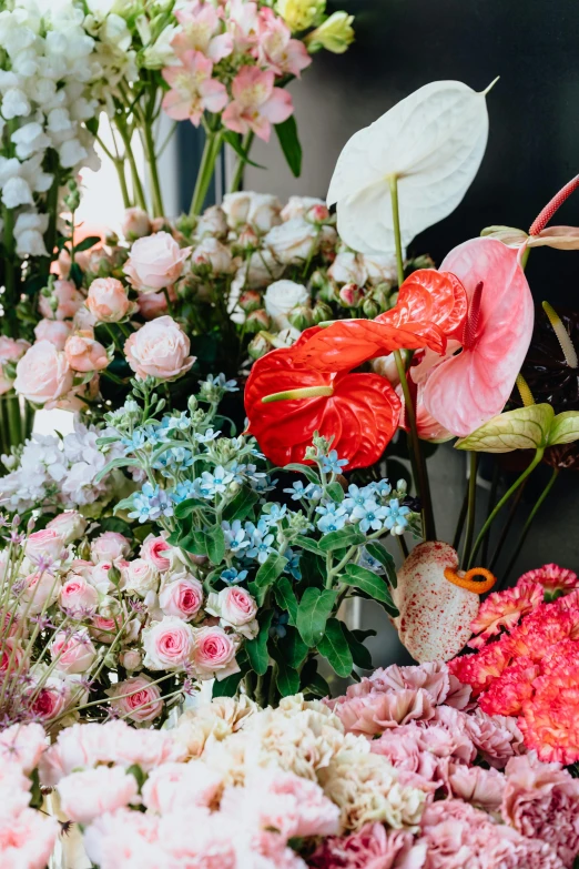 a bunch of flowers sitting on top of a table, lush paradise, curated collection, azure and red tones, zoomed in