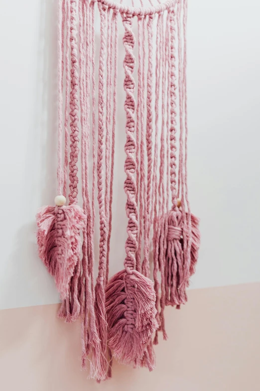 a pink macrame hanging on a wall, looking towards camera, cascading, full product shot, buds