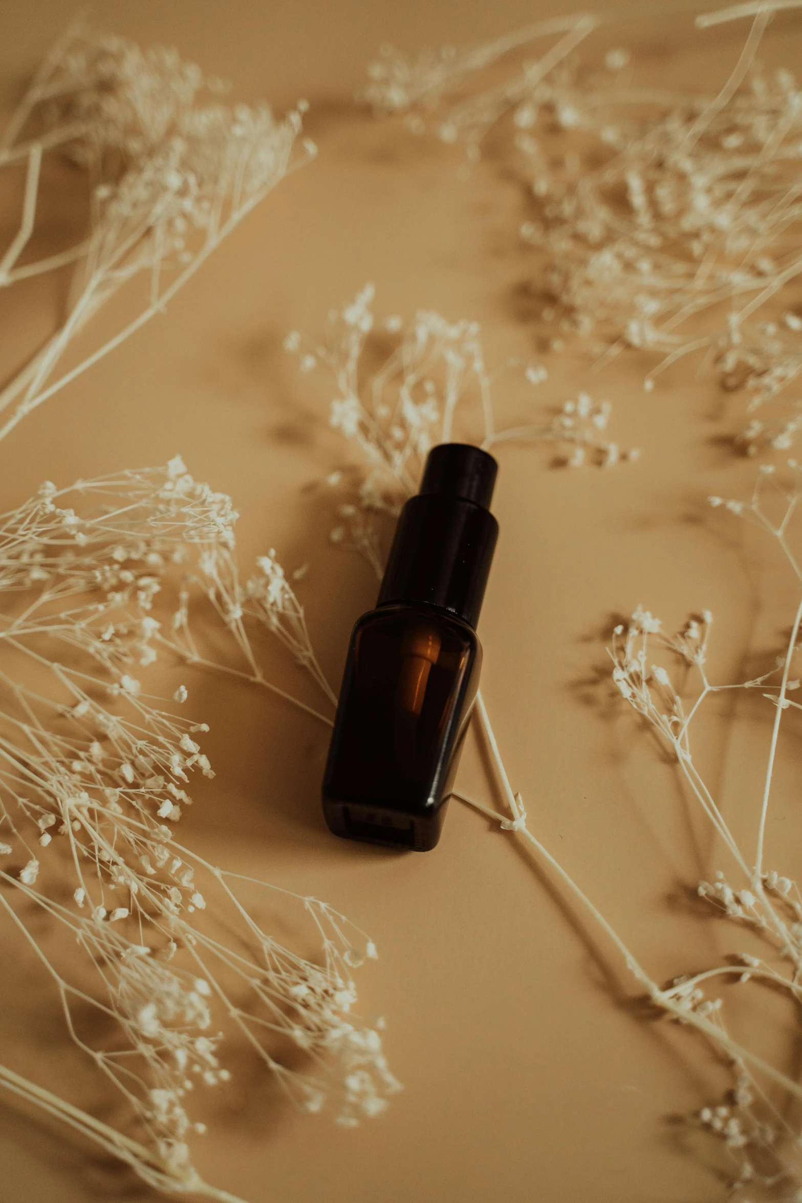 a bottle of essential oil sitting on a table, inspired by Elsa Bleda, unsplash, renaissance, black fine lines on warm brown, low quality photo, thumbnail