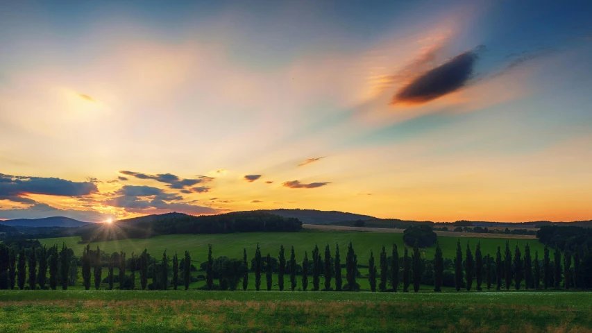 a field with trees and a sunset in the background, pexels contest winner, renaissance, cypresses and hills, ultrawide lens”, big sky, instagram post