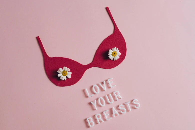 a close up of a bra on a pink surface, trending on pexels, aestheticism, daisies, i love you, breastplate ) ) ), label