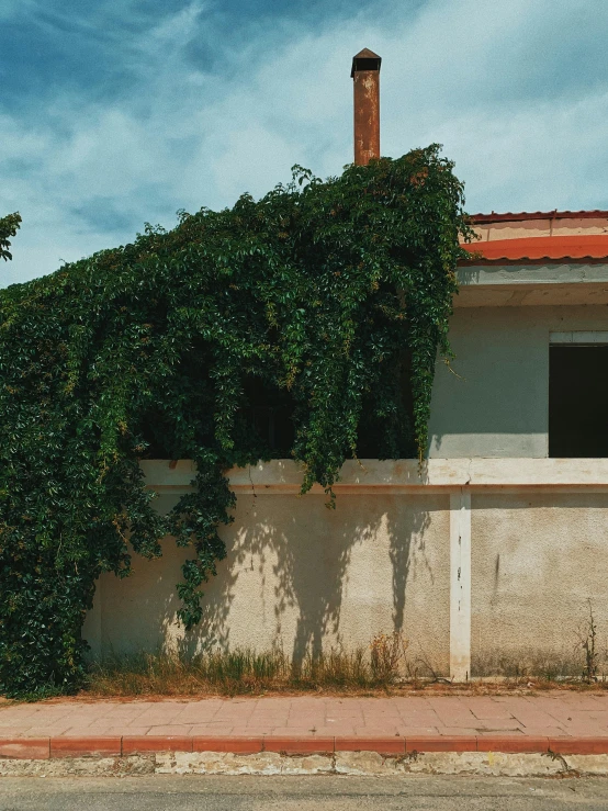 a red fire hydrant sitting on the side of a road, an album cover, by Attila Meszlenyi, postminimalism, roof with vegetation, completely overgrown with vines, hyperrealism photo, in spain