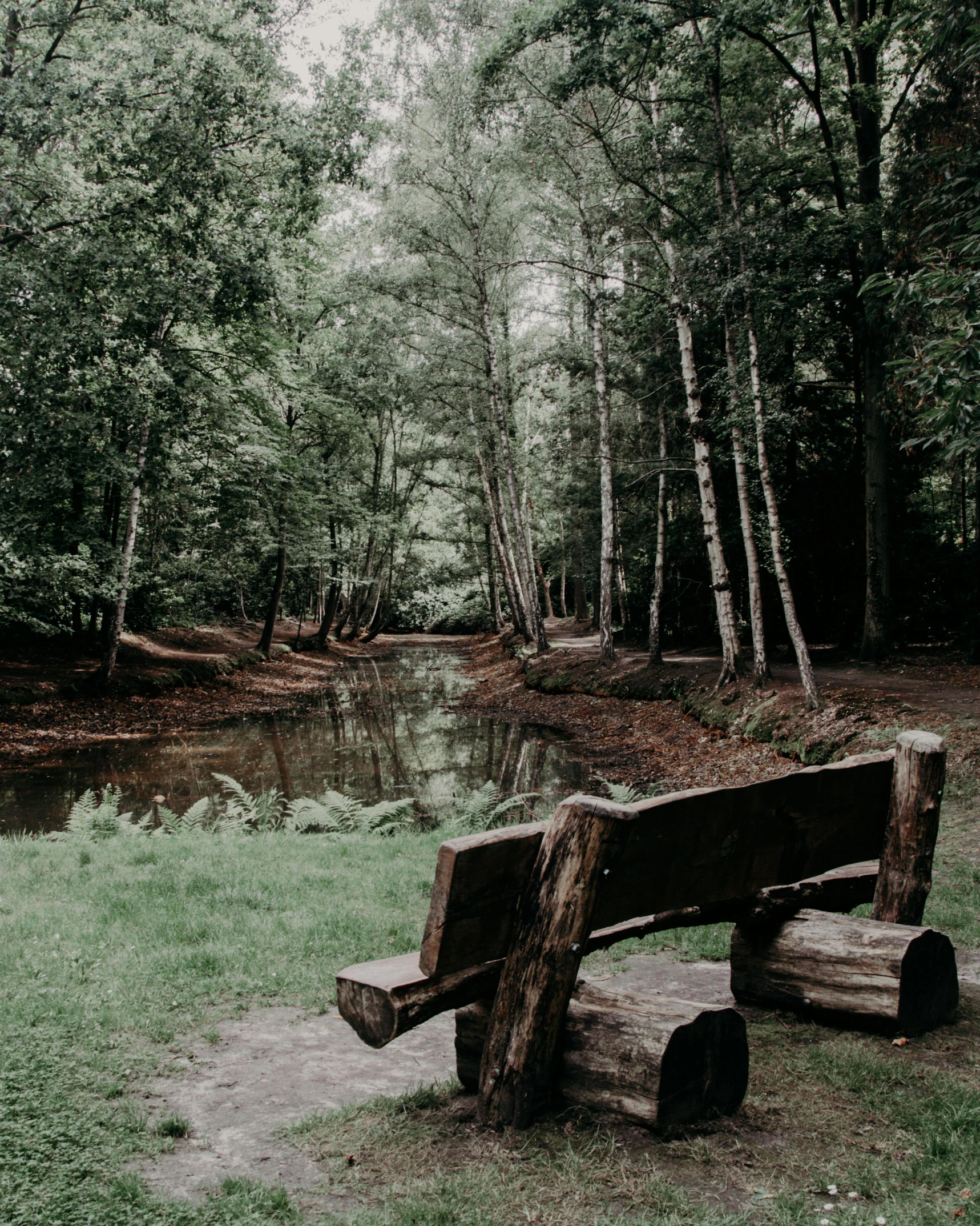 a wooden bench sitting on top of a lush green field, unsplash contest winner, river in a forest, low quality photo, brown, ((forest))