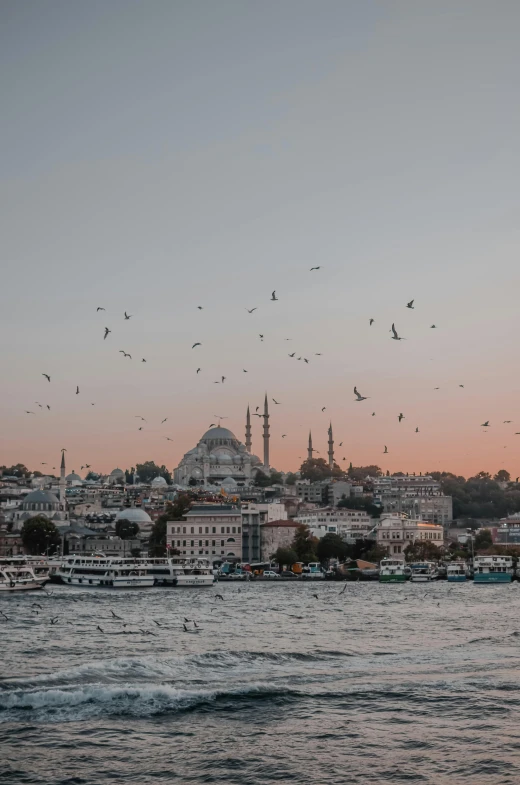 a flock of birds flying over a body of water, a colorized photo, pexels contest winner, hurufiyya, istanbul, black domes and spires, twilight skyline, 2 5 6 x 2 5 6