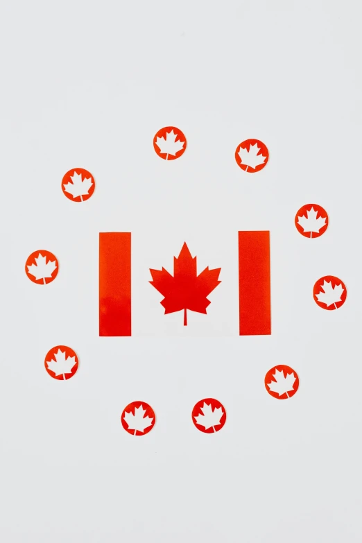 a canadian flag in the shape of a circle, reddit, small clocks as leaves, screen printed, 1/60, product shot