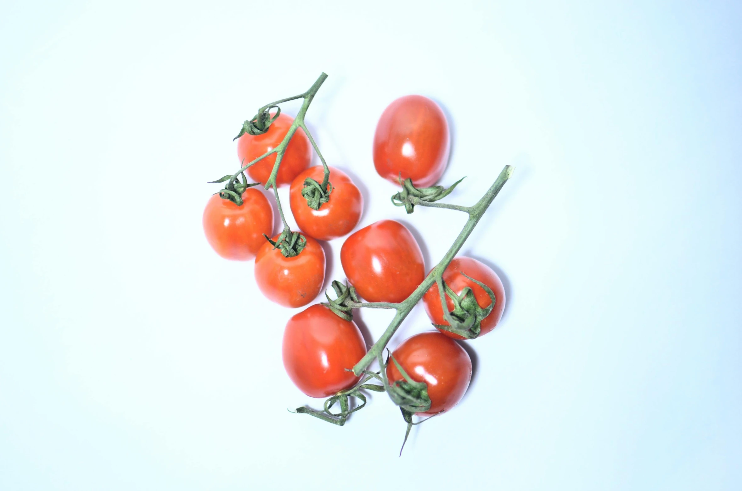 a bunch of tomatoes sitting on top of a white surface, by Carey Morris, unsplash, hyperrealism, stems, ignant, tiny details, 🦩🪐🐞👩🏻🦳