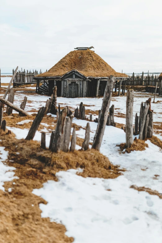 a horse that is standing in the snow, inspired by Þórarinn B. Þorláksson, unsplash contest winner, land art, medieval house, panoramic shot, a wooden, at an archaeological dig site