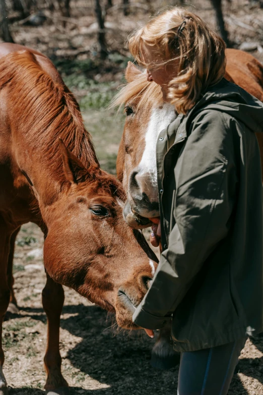 a woman standing next to a brown horse, trending on unsplash, touching heads, surrounded, head down, calmly conversing 8k