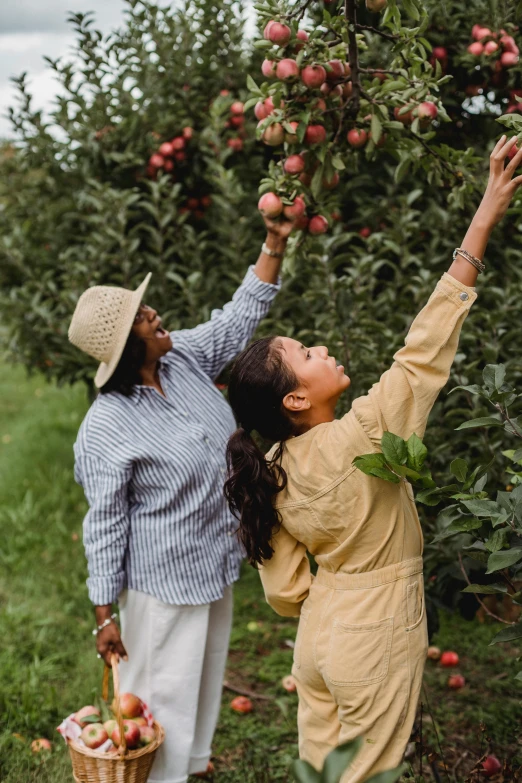 a man and a woman picking apples from a tree, trending on unsplash, two women, ny, essence, 💣 💥