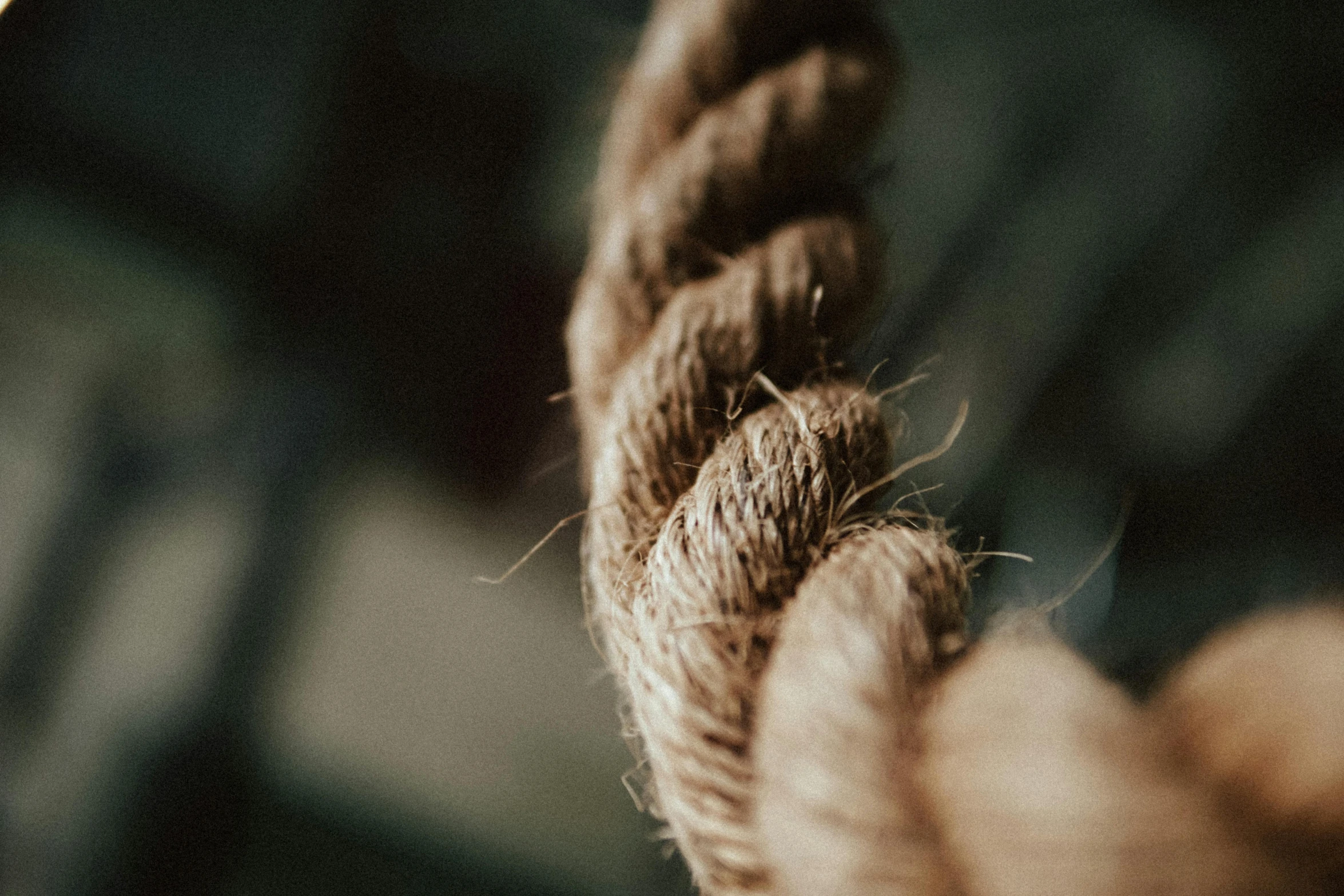 a close up of a piece of rope, trending on pexels, hurufiyya, brown, indoor picture, instagram post, decorative