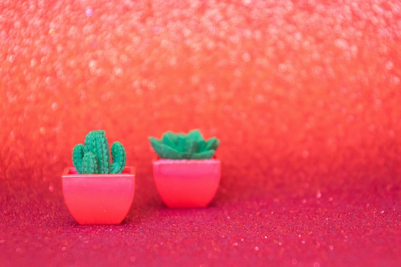 a couple of small potted plants sitting on top of a red surface, a macro photograph, trending on pexels, pop art, glitter gif, cactus, background image, pink and green colour palette