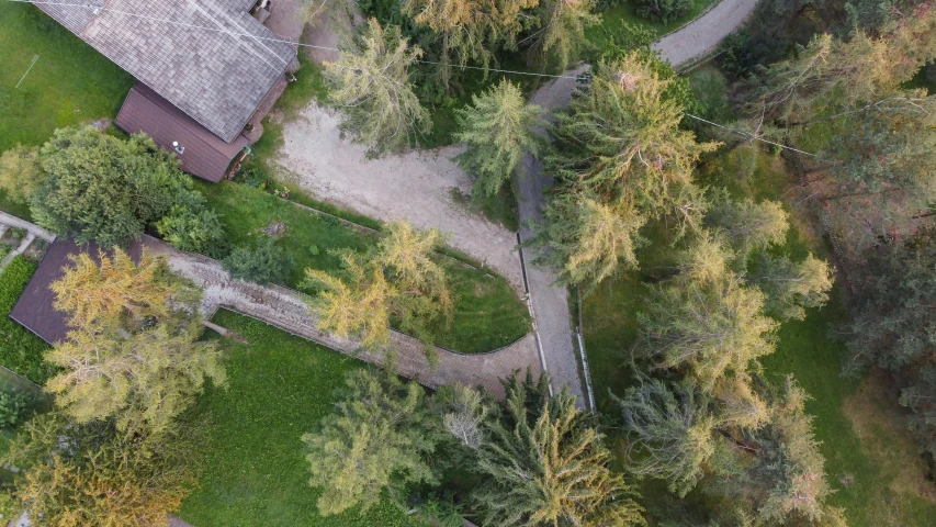 an aerial view of a house in the woods, pexels contest winner, realism, pathway, spruce trees, wyoming, top down perspecrive