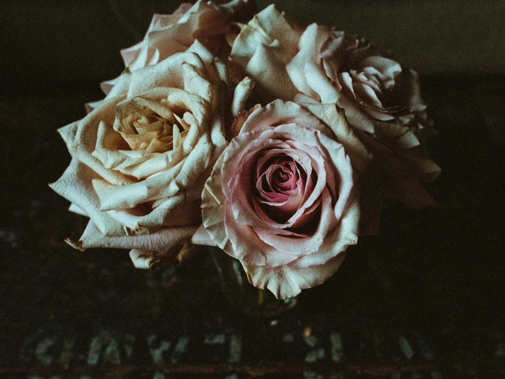 a bunch of pink roses sitting on top of a table, inspired by Elsa Bleda, pexels contest winner, dark and dusty, aged 2 5, close body shot, amanda lilleston