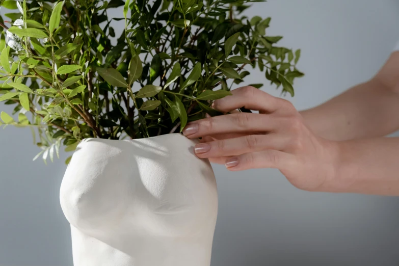 a close up of a person holding a plant in a vase, inspired by Hendrik Gerritsz Pot, new sculpture, white porcelain skin, noseless, natural tpose, with soft bushes